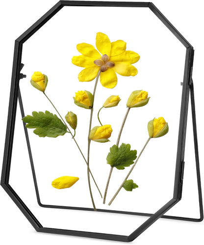 REDHUGO Glass Pressed Flower Frame Handmade, Metal Floating Picture Frame, Double Glass for Tabletop Display, Unique Brass Octagon, Gold, 5x7 Inches (Frame Only)