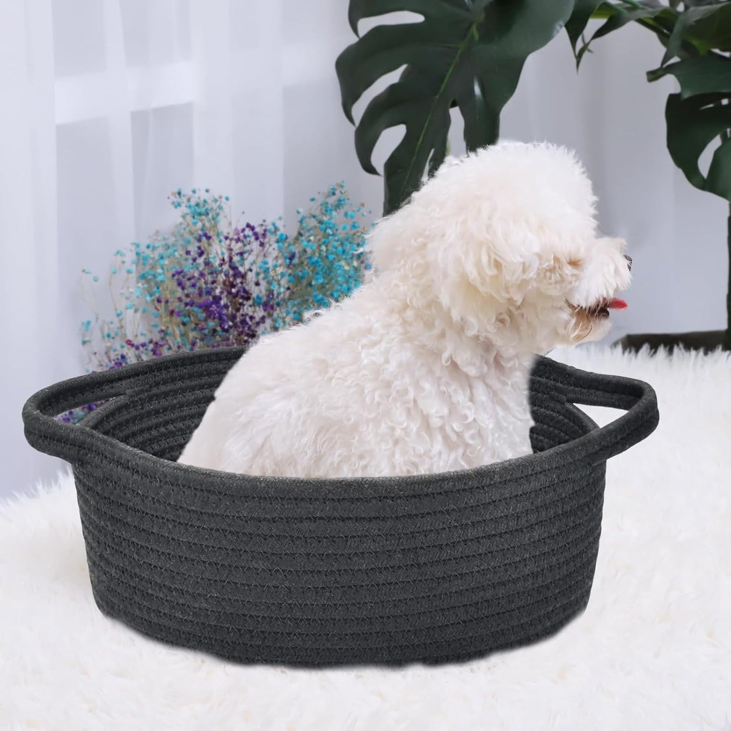 ABenkle Small Basket with Handles, Boho Decorative Rope Woven Dog Cat Toy Storage Bin Shelf Storage Organizer, Easter Christmas Gift Basket, 12"x8"x5", White