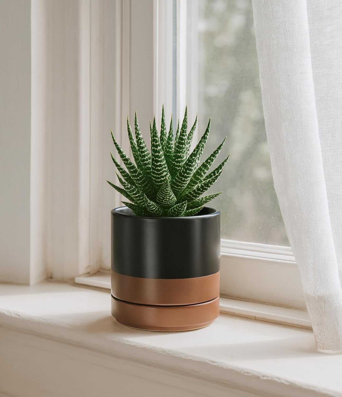 D'vine Dev 6.5 Inch Ceramic Planter Pot with Drainage Hole and Saucer, Indoor Cylinder Round Planter Pot, Olive, 94-O-C-J