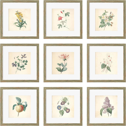 12x12 Picture Frame Set of 9, Display Pictures 8x8 with Mat or 12x12 without Mat, Multi Collage Gallery Square Photo Frames for Wall or Tabletop, Black