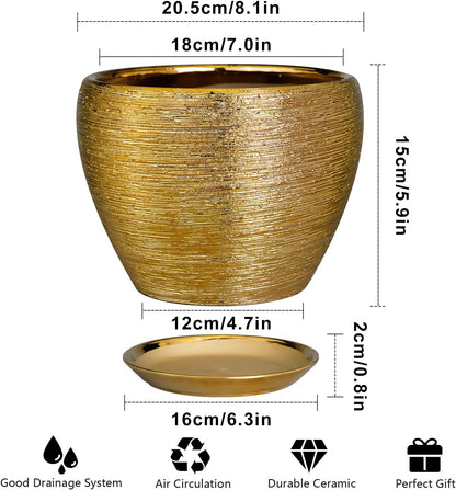 Ceramic Modern Glaze Succulent Planter Pot with Drainage Hole and Saucer 6 Inch Round Flower Plant Pot for Indoor Outdoor Herb Snake Plants