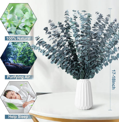 52 PCS Mix Dried Eucalyptus & Lavender Flowers Bundles for Shower, 17'' Natural Real Hanging Silver Dollar Eucalyptus Leaves Stems, Fragrance Fresh Plants Home Bathroom Decor (52pcs)