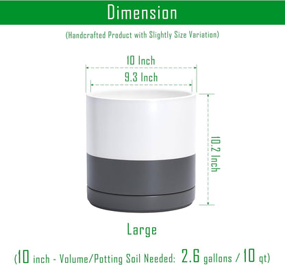 D'vine Dev Set of 2 Plants Pots, 6.5 Inch Ceramic Planter Pot for Plants with Drainage Hole and Saucer, White, 94-V-C-1