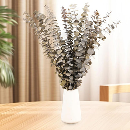 Tavkite 16 Pcs Dried Eucalyptus Stems, 17'' Natural Fresh Eucalyptus Leaves Branches Hanging for Shower, Preserved Real Plant Live Greenery for Home SPA Wall Bathroom Wedding Party Vase Decor