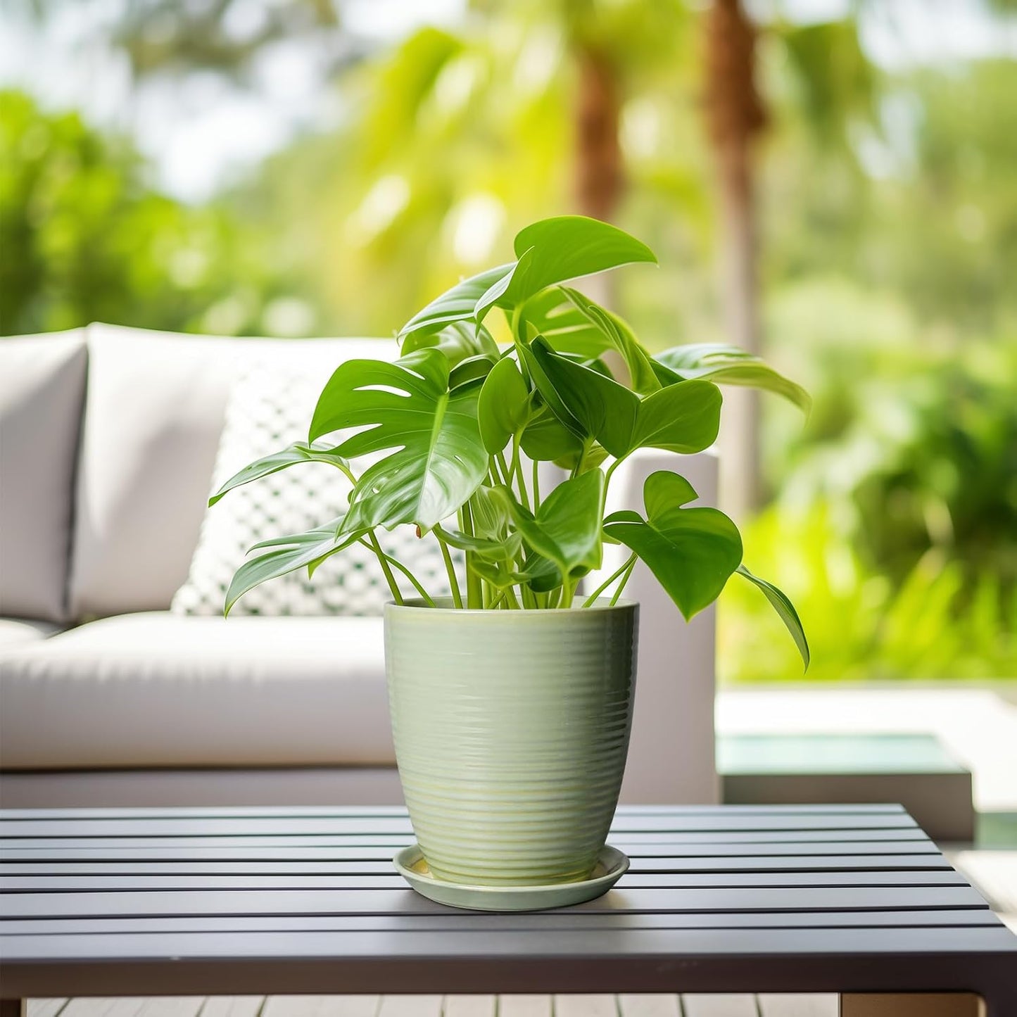 Ceramic Pots for Plants - 6 Inch Plant Pot with Drainage Hole and Saucer, Round Planters for Indoor Outdoor, Flower Pots, Modern Planter, Home Office Room Decor, Gifts for Plant Lovers, White