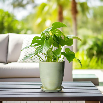 Ceramic Pots for Plants - 6 Inch Plant Pot with Drainage Hole and Saucer, Round Planters for Indoor Outdoor, Flower Pots, Modern Planter, Home Office Room Decor, Gifts for Plant Lovers, White