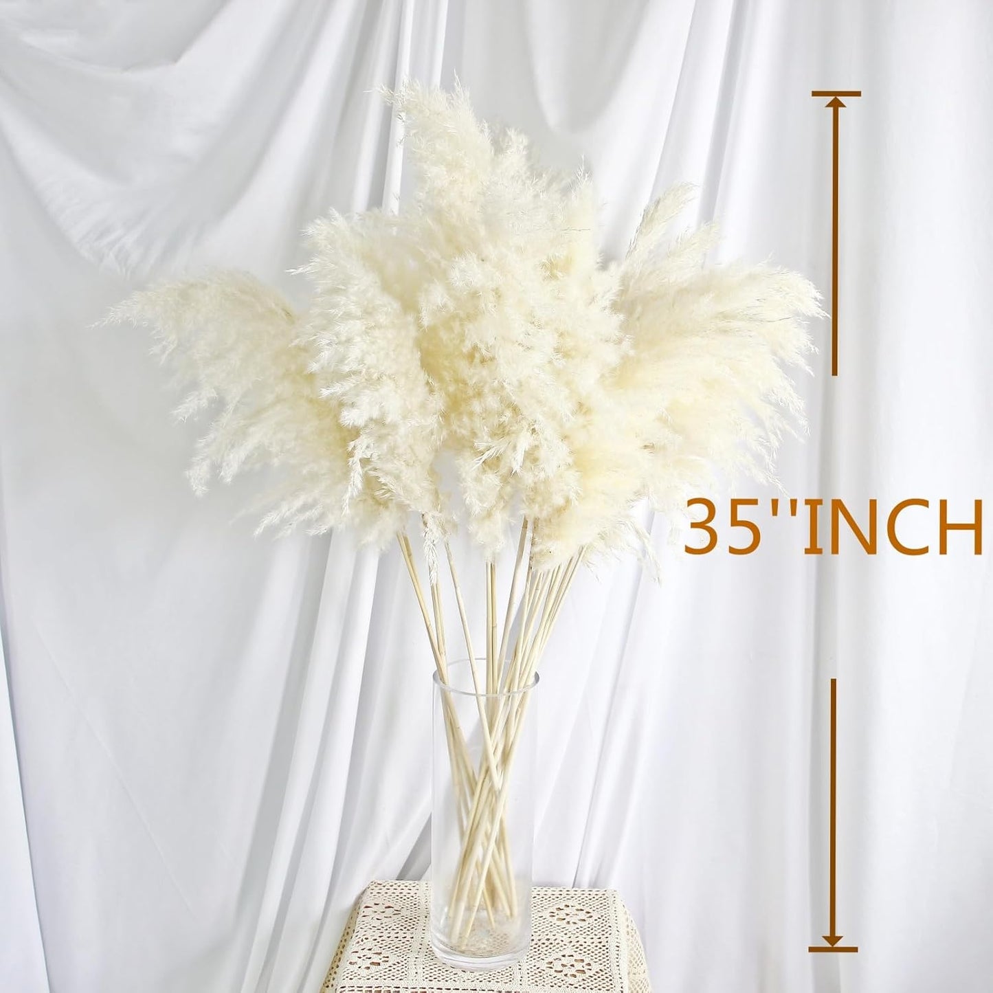 Pampas Grass Decor, Natural Dry Pampas Grass Small, Short Pampass Bulk for Farmhouse, Wall, Kitchen, Bedroom Decor, Office Decor (17 inch )