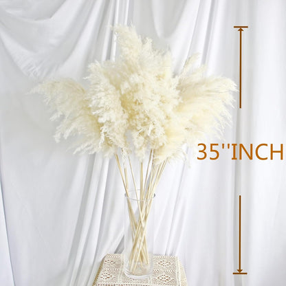 Pampas Grass Decor, Natural Dry Pampas Grass Small, Short Pampass Bulk for Farmhouse, Wall, Kitchen, Bedroom Decor, Office Decor (17 inch )