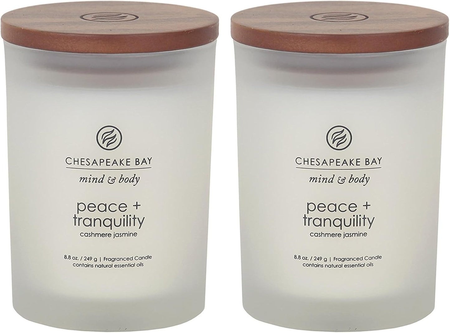 Chesapeake Bay Candle PT40886 Scented Candle Awaken + Invigorate (Lemongrass Eucalyptus) Medium Green Home Décor