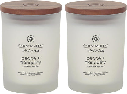 Chesapeake Bay Candle PT40886 Scented Candle Awaken + Invigorate (Lemongrass Eucalyptus) Medium Green Home Décor