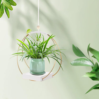 Hanging Planter for Indoor Plants, Black Plant Hanger Indoor with Sturdy Wood Base, Modern Boho Macrame Plant Hanger for 3-5.5 Inch Pot, Hanging Wall Ceiling Window Home Decor (Pots Not Included)