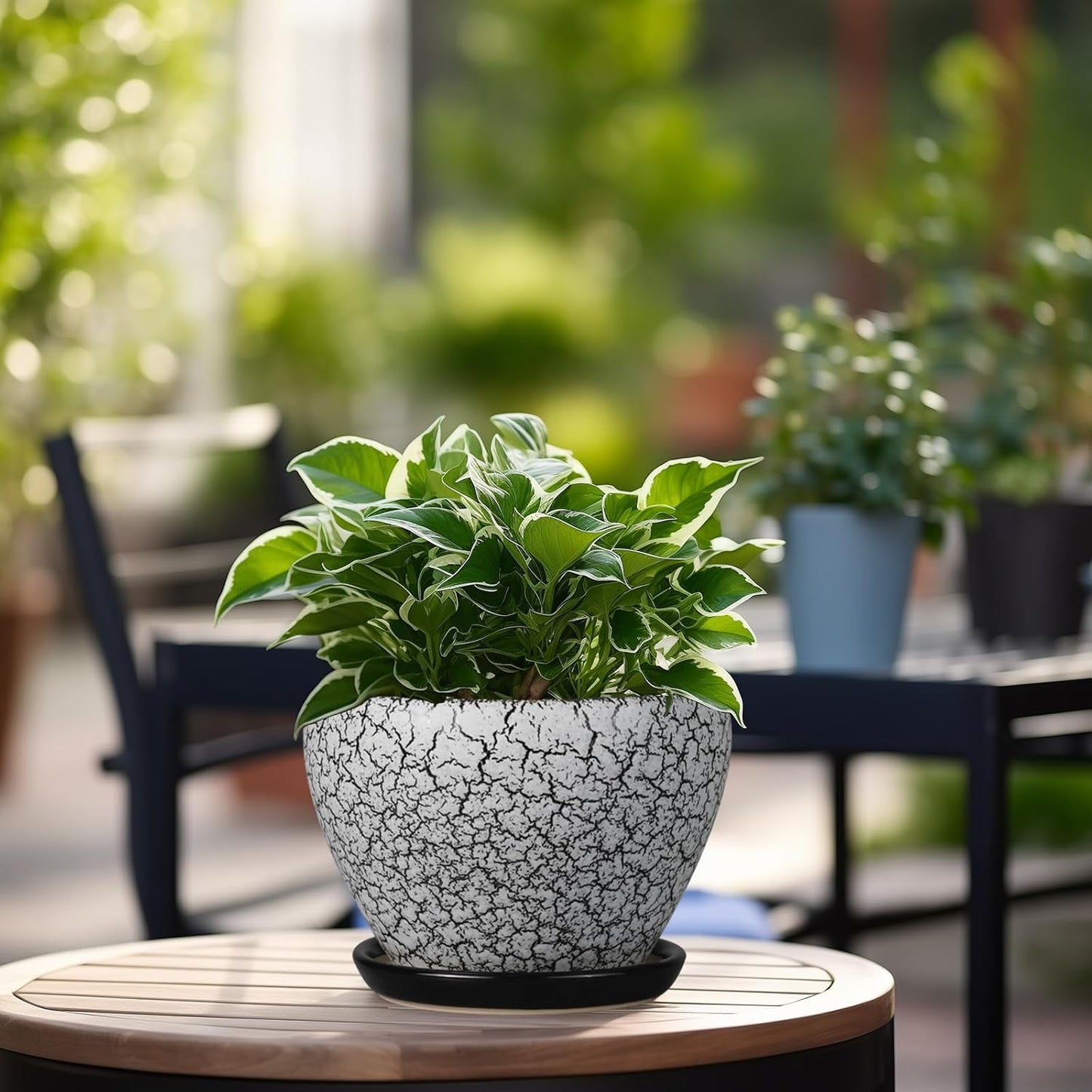 Ceramic Modern Glaze Succulent Planter Pot with Drainage Hole and Saucer 6 Inch Round Flower Plant Pot for Indoor Outdoor Herb Snake Plants