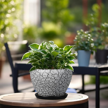 Ceramic Modern Glaze Succulent Planter Pot with Drainage Hole and Saucer 6 Inch Round Flower Plant Pot for Indoor Outdoor Herb Snake Plants