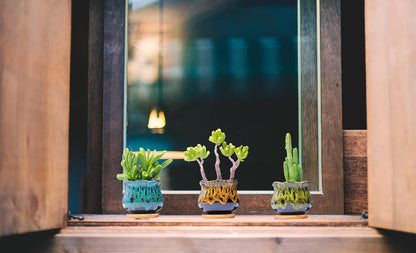 Cute Ceramic Succulent Garden Pots, Planter with Drainage and Attached Saucer, Set of 5 -Plants Not Included (Round)