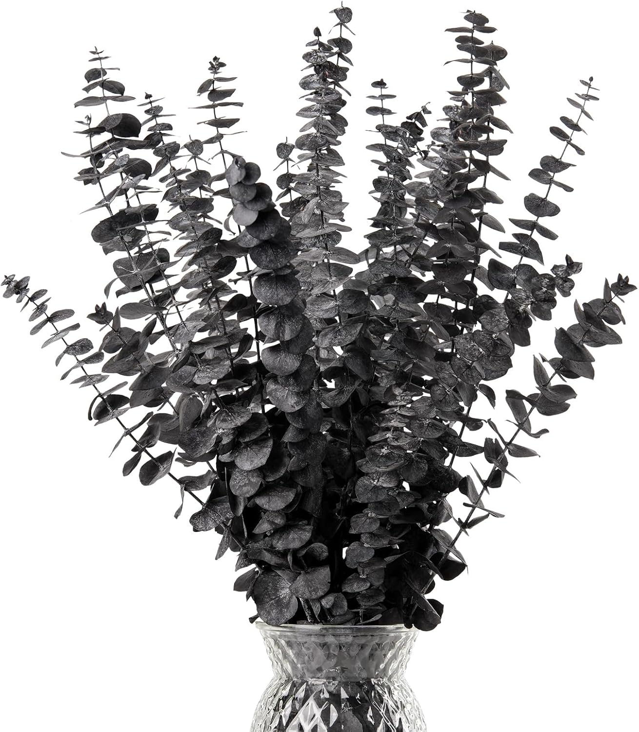 Real Eucalyptus Stems 20PCS Dried Preserved Fresh Eucalyptus Silver Dollar Leaves for Shower - Greenery Branches for Wedding Home Party Vase Filler Spring Decor