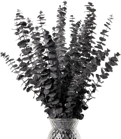 Real Eucalyptus Stems 20PCS Dried Preserved Fresh Eucalyptus Silver Dollar Leaves for Shower - Greenery Branches for Wedding Home Party Vase Filler Spring Decor