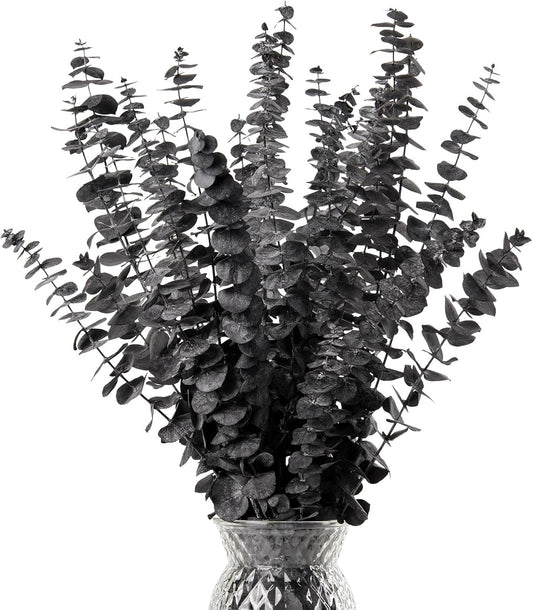 Real Eucalyptus Stems 20PCS Dried Preserved Fresh Eucalyptus Silver Dollar Leaves for Shower - Greenery Branches for Wedding Home Party Vase Filler Spring Decor