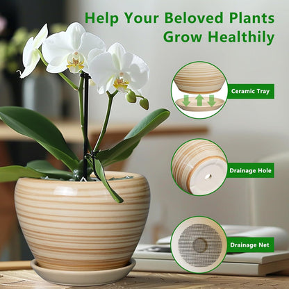 Ceramic Modern Glaze Succulent Planter Pot with Drainage Hole and Saucer 6 Inch Round Flower Plant Pot for Indoor Outdoor Herb Snake Plants