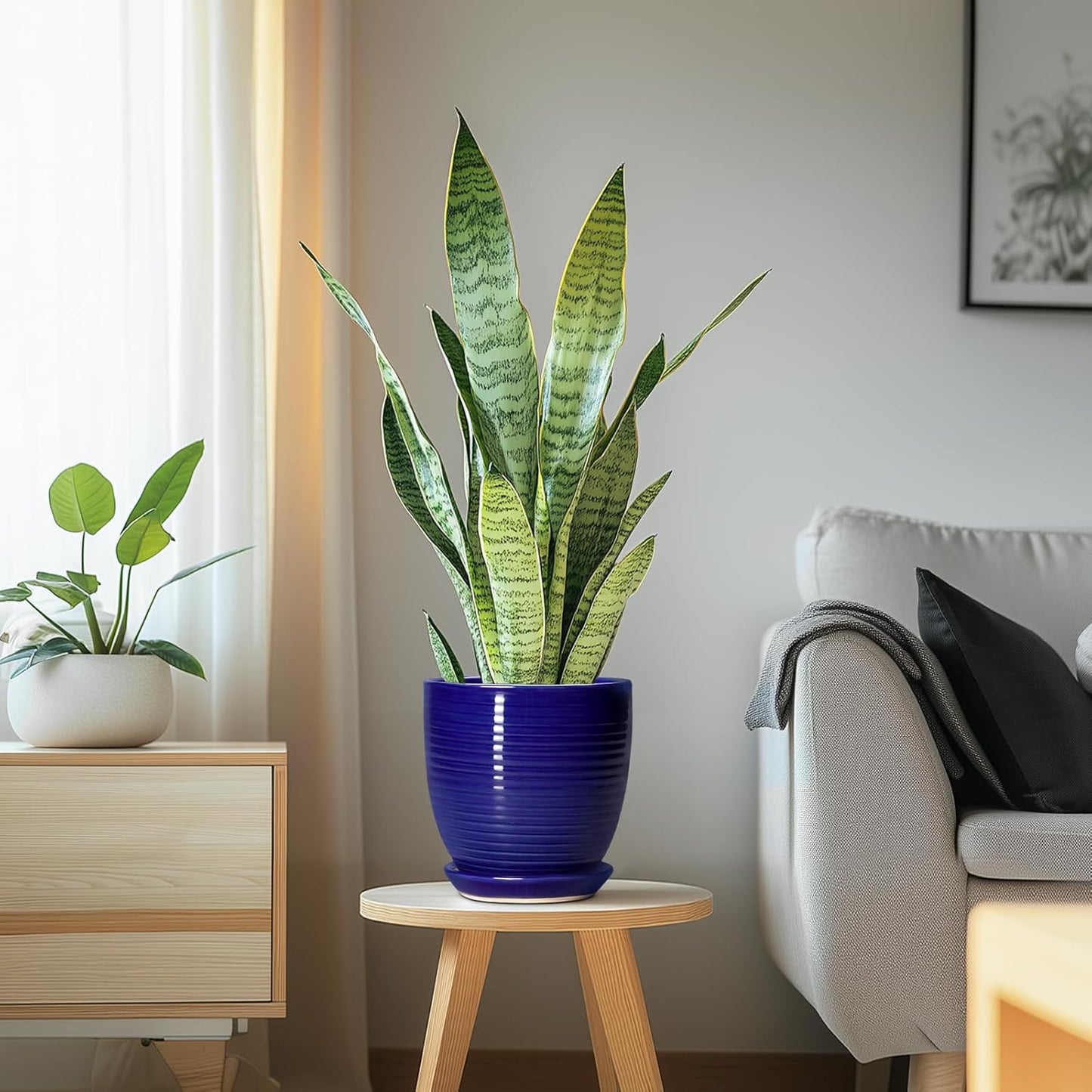 Ceramic Pots for Plants - 6 Inch Plant Pot with Drainage Hole and Saucer, Round Planters for Indoor Outdoor, Flower Pots, Modern Planter, Home Office Room Decor, Gifts for Plant Lovers, White