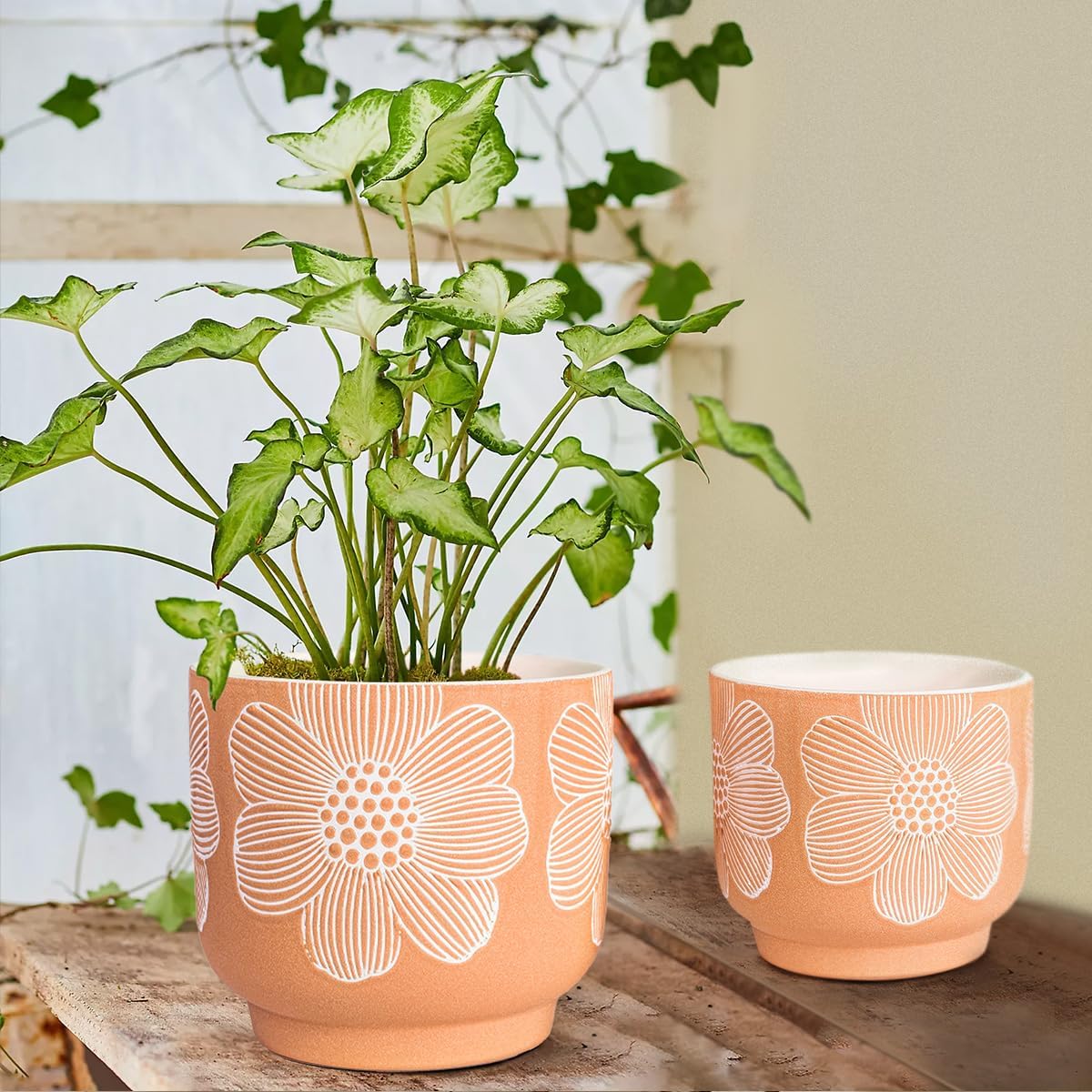 YBX 8 Inch + 6 Inch Ceramic Plant Pots, Succulent Flower Pots with Drainage Holes, Terracotta Planters for Indoor Plants, White&Terracotta (Garden)
