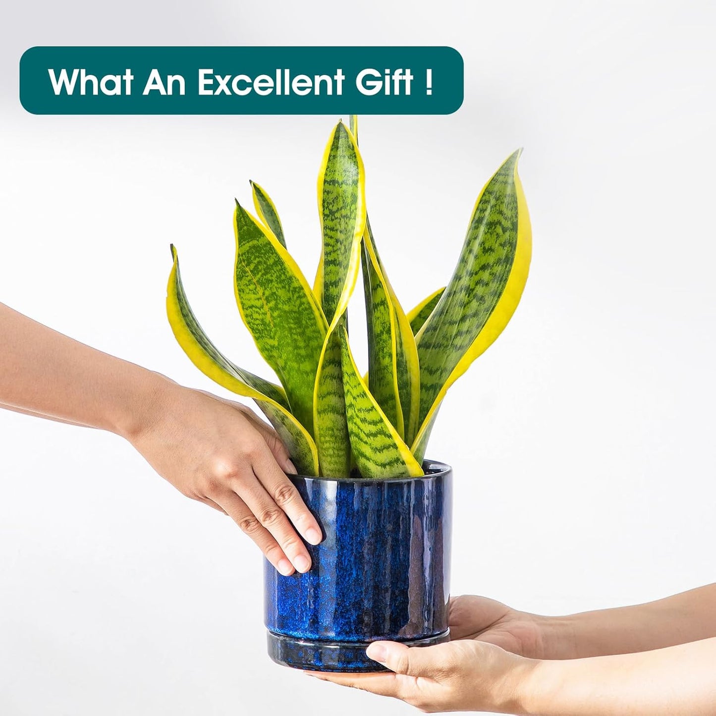 vancasso Ceramic Plant Pots, 3 Piece Planters for Indoor Plants, 4.25+5.25+6.25 Inch Flower Pots with Drainage, Plant Pots Indoor for Succulent, Pothos, Snake Plant and Money Tree, Etc (White)