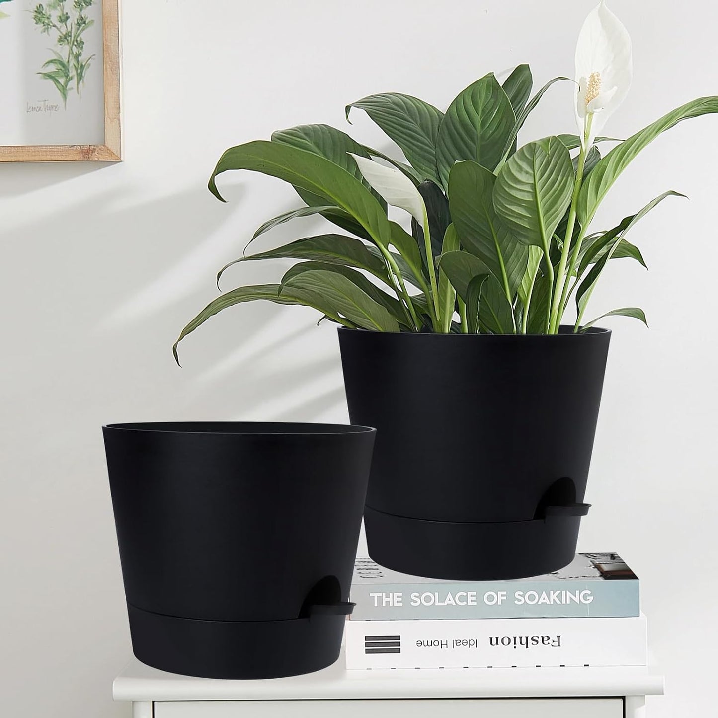 YNNICO Indoor Self Watering Planters with Drainage Holes and Saucers, 8, 7, 6.5, 6, 5.5, 5 Inches, Black, 6 Pots