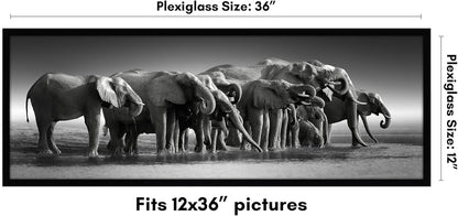 Americanflat 12x18 Poster Frame with Shatter-Resistant Glass - Signature Collection - Gallery-Style Frames Made of Engineered Wood - Photo Frame for Wall Display - Black - Colors B