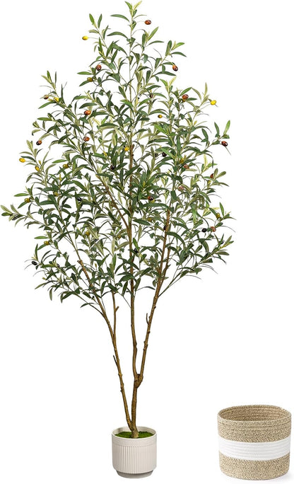 Artificial Olive Tree 6FT - Tall Faux Olive Trees Indoor with Planter&Cotton Basket, Large Fake Olive Plants Realistic Branches Natural Wood Trunk and Fruits for Home House Office Decor