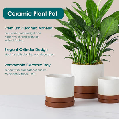 vancasso Ceramic Plant Pots, 3 Piece Planters for Indoor Plants, 4.25+5.25+6.25 Inch Flower Pots with Drainage, Plant Pots Indoor for Succulent, Pothos, Snake Plant and Money Tree, Etc (White)