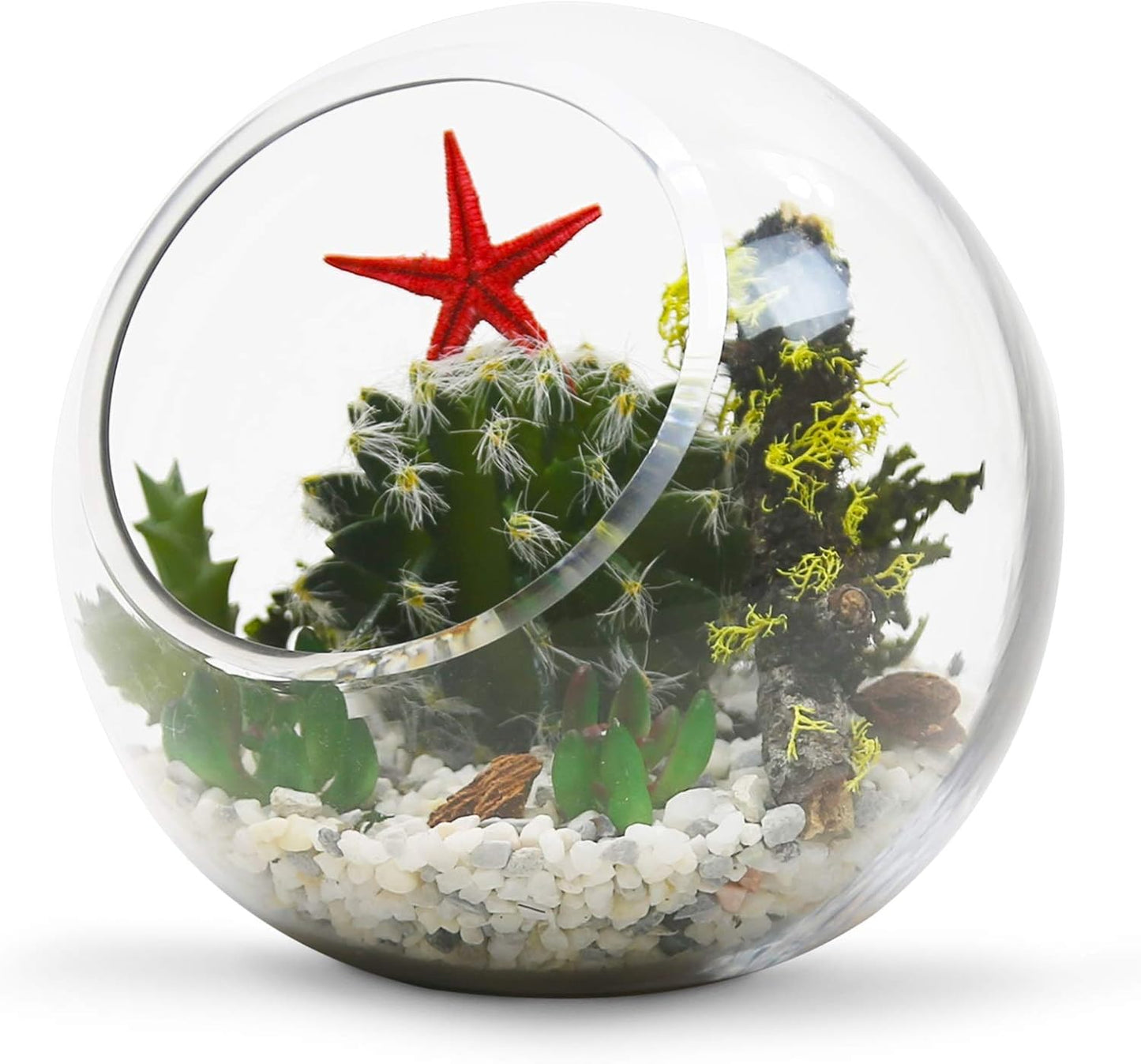 WGVI Clear Slant Cut Bowl Glass Vase, Glass Terrarium, Candy Dish, Glassware, Slant Open: 7". Height: 6" x 2.7". Base: 4" (1 Piece)