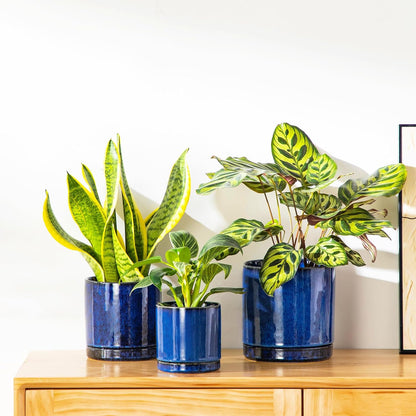 vancasso Ceramic Plant Pots, 3 Piece Planters for Indoor Plants, 4.25+5.25+6.25 Inch Flower Pots with Drainage, Plant Pots Indoor for Succulent, Pothos, Snake Plant and Money Tree, Etc (White)