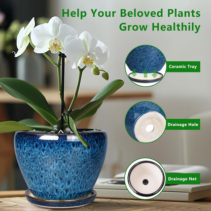 Ceramic Modern Glaze Succulent Planter Pot with Drainage Hole and Saucer 6 Inch Round Flower Plant Pot for Indoor Outdoor Herb Snake Plants