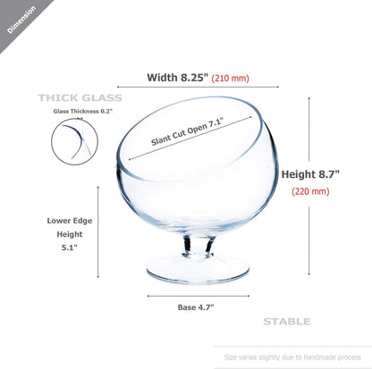 WGVI Clear Slant Cut Bowl Glass Vase, Glass Terrarium, Candy Dish, Glassware, Slant Open: 7". Height: 6" x 2.7". Base: 4" (1 Piece)