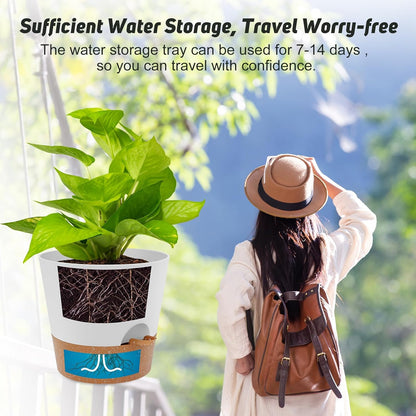 YNNICO Indoor Self Watering Planters with Drainage Holes and Saucers, 8, 7, 6.5, 6, 5.5, 5 Inches, Black, 6 Pots