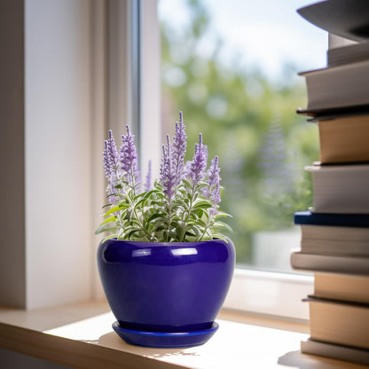 Ceramic Modern Glaze Succulent Planter Pot with Drainage Hole and Saucer 6 Inch Round Flower Plant Pot for Indoor Outdoor Herb Snake Plants