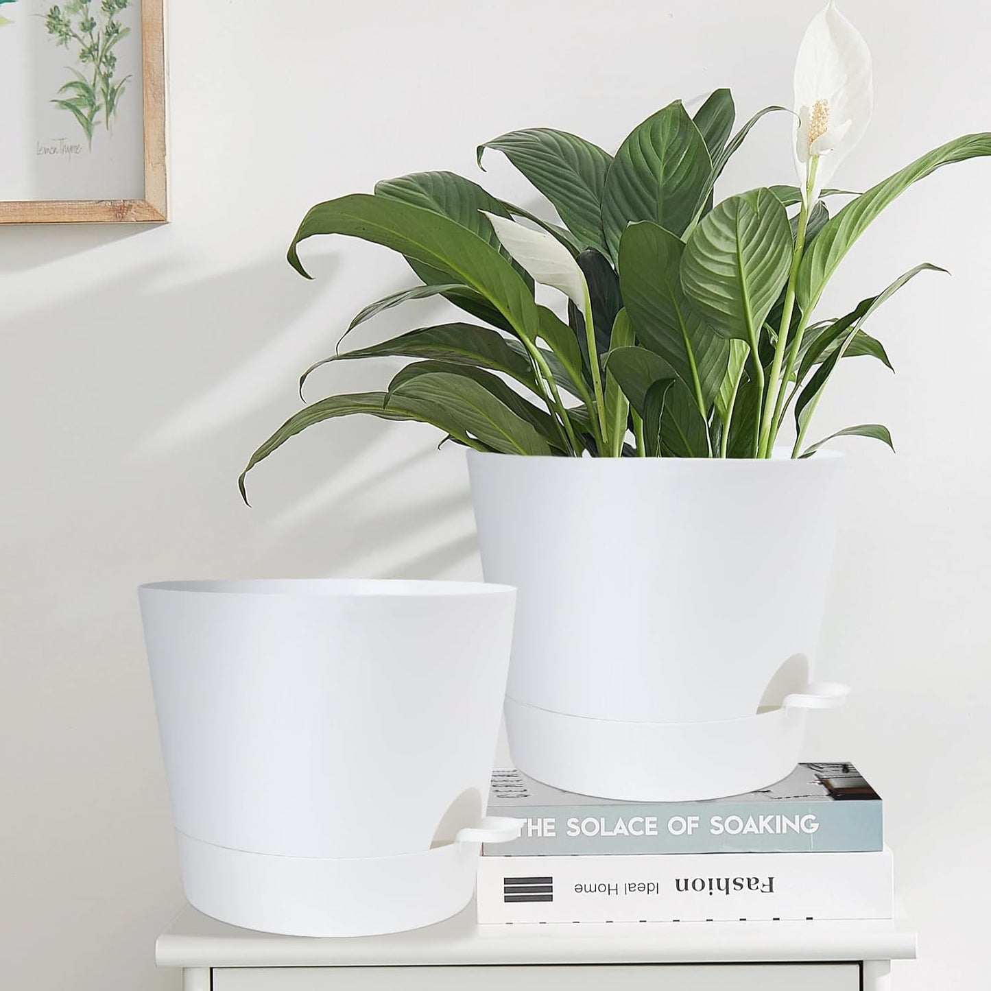 YNNICO Indoor Self Watering Planters with Drainage Holes and Saucers, 8, 7, 6.5, 6, 5.5, 5 Inches, Black, 6 Pots