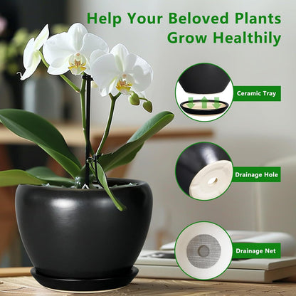 Ceramic Modern Glaze Succulent Planter Pot with Drainage Hole and Saucer 6 Inch Round Flower Plant Pot for Indoor Outdoor Herb Snake Plants