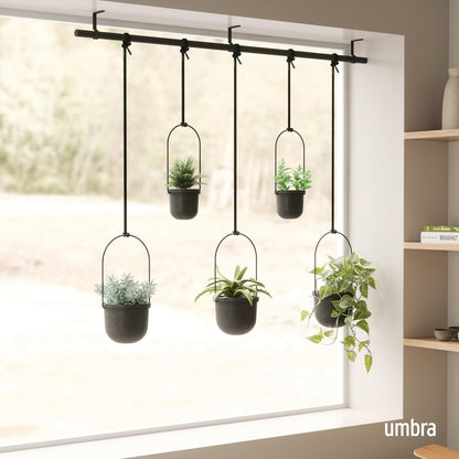 Umbra Triflora Hanging Planter for Window, Indoor Herb Garden, Set of 3, White/Black