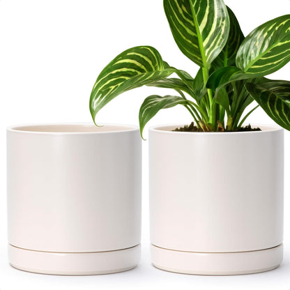 D'vine Dev Set of 2 Plants Pots, 6.5 Inch Ceramic Planter Pot for Plants with Drainage Hole and Saucer, White, 94-V-C-1