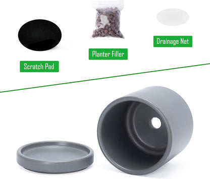 D'vine Dev Set of 2 Plants Pots, 6.5 Inch Ceramic Planter Pot for Plants with Drainage Hole and Saucer, White, 94-V-C-1