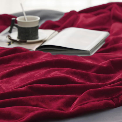 Bedsure GentleSoft Fleece Throw Blanket for Couch Grey - Lightweight Plush Fuzzy Cozy Soft Blankets and Throws for Sofa, Couch, Travel, Camping, 50x60 inches - Colors B