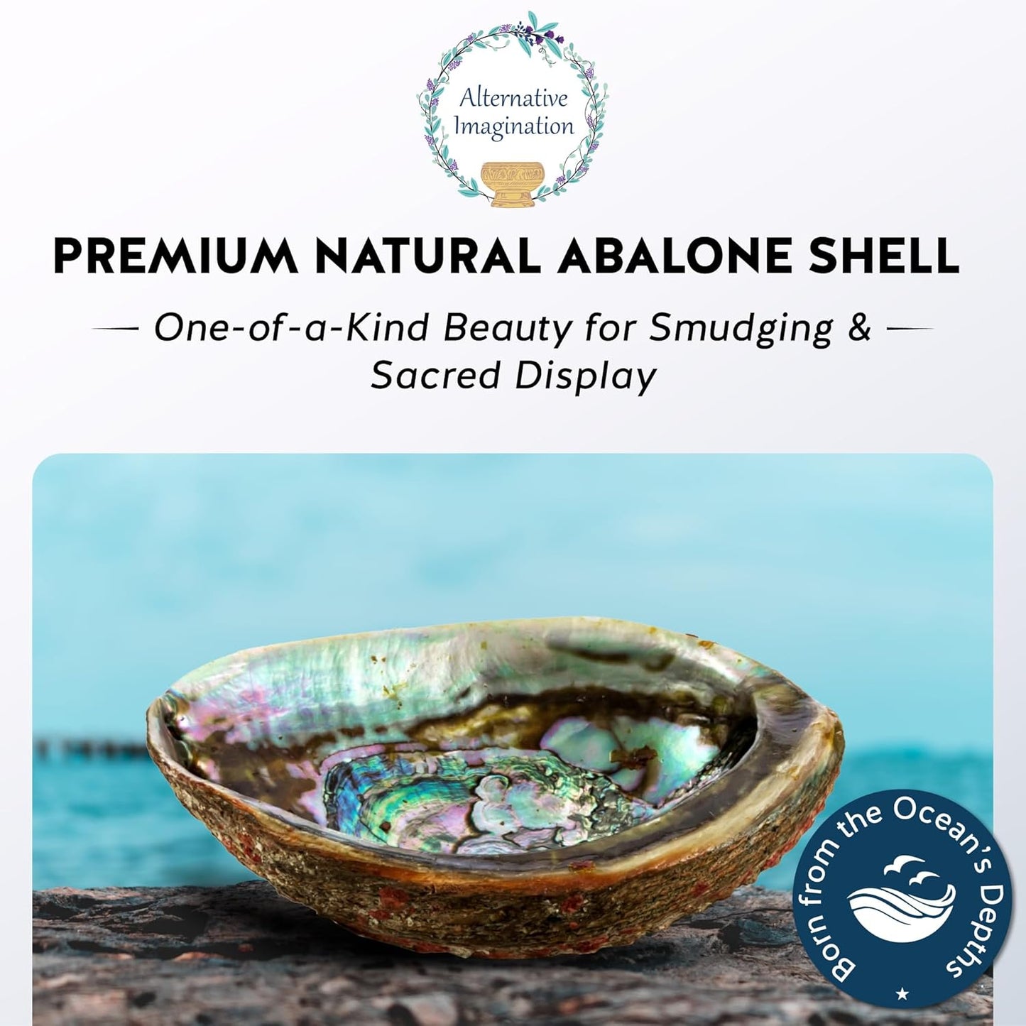 Alternative Imagination Hand Selected Abalone Shell - 6 Inches or Larger - Polished Mother-of-Pearl Interior - Flame-Proof Dish for Incense, Smudge Sticks, Trinkets, Crystal Display & Home Decor