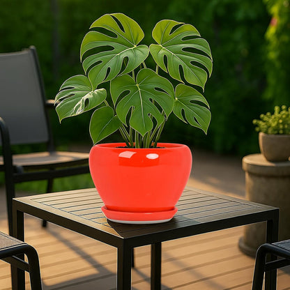 Deep Dream 6 Inch Plant Pots- Ceramic Planter Pot with Drainage Hole and Saucer, Round Flower Pot for Indoor Outdoor Succulent, Snake Plants and Cactus, Blue