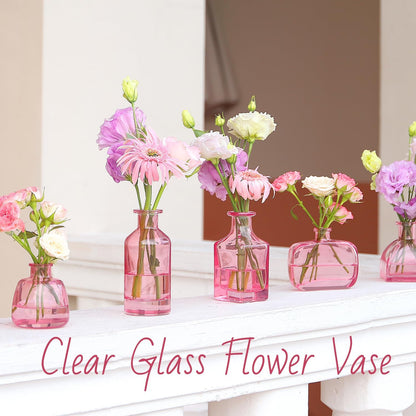 Bud Vases Set of 12, Clear Glass Bud Vase in Bulk, Small Vases for Centerpiece Mini Modern Flower Vase Transparent, Wedding Party Table Home Decor