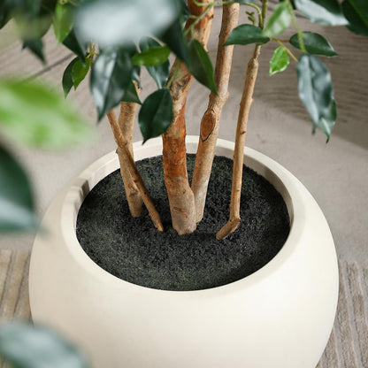 VeriNatural 8FT Artificial Ficus Tree, Indoor Faux Ficus Plant with Realistic Leaves & Natural Wood Trunk, 8ft Tall, Green, All Seasons, Perfect for Living Room Home Decor