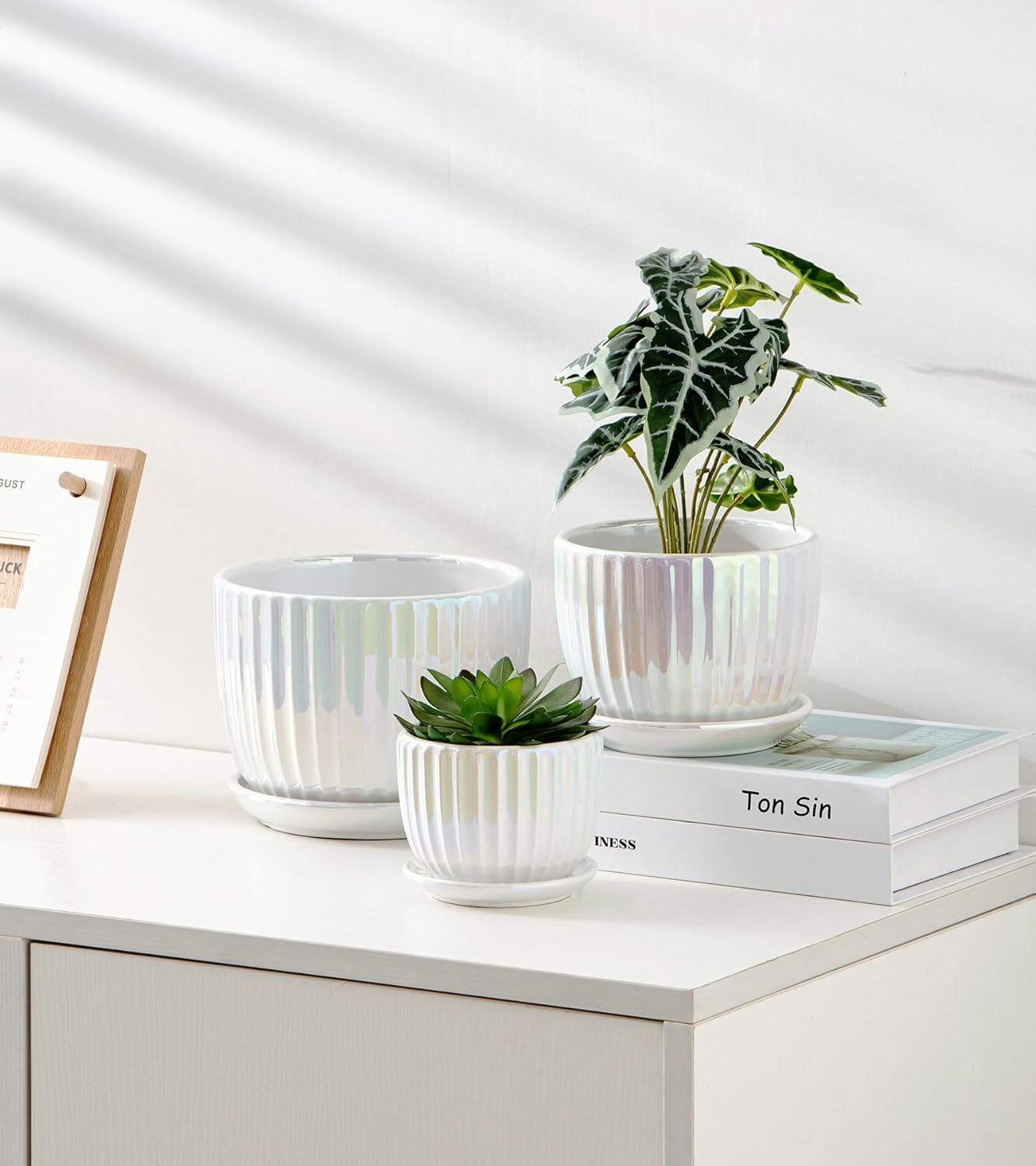 Ton Sin Pink Gold Ceramic Flower Pots, 4"+5"+6" Inch Small Glazed Succulent Planters with Drainage Hole,Modern Indoor Decorative Plant Pots Set of 3,Garden Pots with Saucer