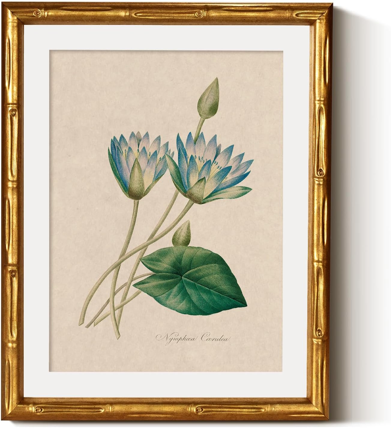 InSimSea Gold Bamboo Framed Canvas Wall Art, Retro Blue Hydrangea Botanical Prints, Antique Flowers Picture Frame with Mat, Victorian Home Wall Decor for Kitchen Living Room Bedroom, 11x14inch
