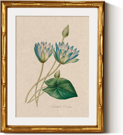 InSimSea Gold Bamboo Framed Canvas Wall Art, Retro Blue Hydrangea Botanical Prints, Antique Flowers Picture Frame with Mat, Victorian Home Wall Decor for Kitchen Living Room Bedroom, 11x14inch