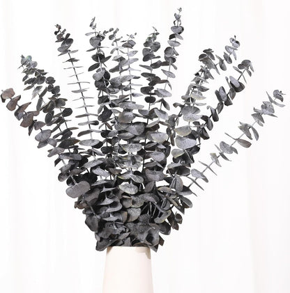 Tavkite 16 Pcs Dried Eucalyptus Stems, 17'' Natural Fresh Eucalyptus Leaves Branches Hanging for Shower, Preserved Real Plant Live Greenery for Home SPA Wall Bathroom Wedding Party Vase Decor