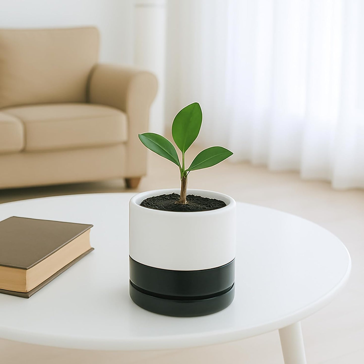 D'vine Dev 6.5 Inch Ceramic Planter Pot with Drainage Hole and Saucer, Indoor Cylinder Round Planter Pot, Olive, 94-O-C-J